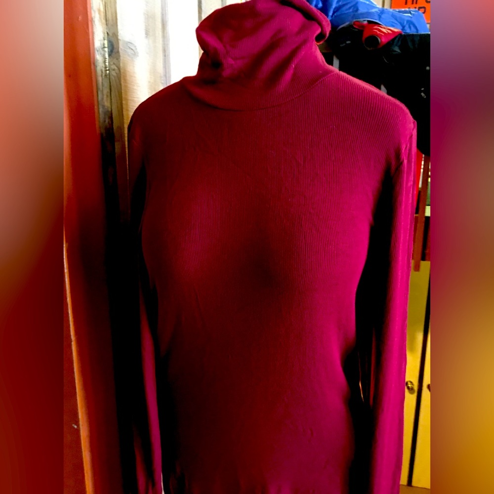 Fabulous Three Dots ribbed turtleneck top!